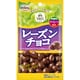 レーズンチョコ 42g