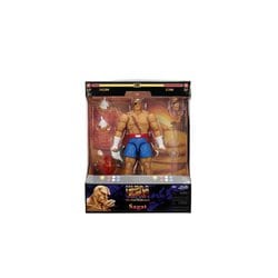 SOTA TOYS CAPCOM STREET FIGHTER ROUND1 SAGAT アクション