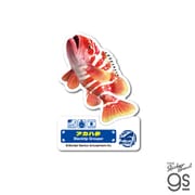 TSP-014 釣りスピリッツ ダイカットステッカー アカハタ