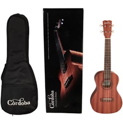 ウクレレ コンサートサイズ 初心者セット UP100 UKULELE PACK CONCERT