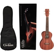ウクレレ コンサートサイズ 初心者セット UP100 UKULELE PACK CONCERT