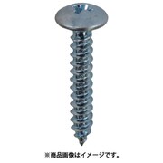 00041665 [DAIDОHANT ユニクロ タッピングねじ トラス頭 4×16mm 約500本入]