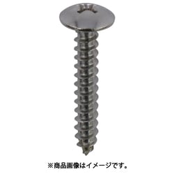 DAIDОHANT ステンレス タッピングねじ トラス頭 4×20mm 約300本入 00041673