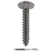 00041673 [DAIDОHANT ステンレス タッピングねじ トラス頭 4×20mm 約300本入]
