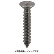 00041685 [DAIDОHANT ステンレス タッピングねじ 皿頭 3×16mm 約300本入]
