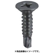 10175666 [DAIDОHANT YAIBA ステンレスドリルねじ 皿頭 4×45 約25本入]