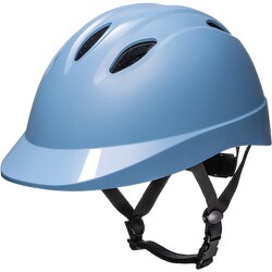 CHALINO [DIC Chalino 保険付き ブルー L]