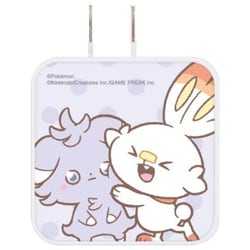 USB/USB Type-C ACアダプタ ポケットモンスター ポケピース ニャスパー＆ヒバニー POKE-954C