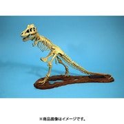 GM07906 ティラノサウルス 骨格モデル [組立式プラスチックモデル]