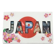 NB-JWE346 [木製ホイルマグネット JAPAN]