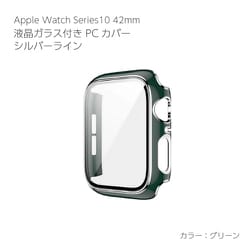 AW-GLSPC42-GR [Apple Watch Series10 42mm 液晶ガラス付PCカバー シルバーライン グリーン]