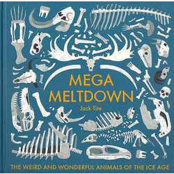 【バーゲンブック】MEGA MELTDOWN [単行本]