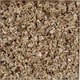168 [セージ カット 500g 業務用ハーブ]