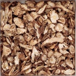 204 [タ ゛ンデリオンルート カット 500g 業務用ハーブ]
