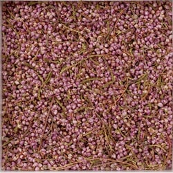 171 [ヒース 500g 業務用ハーブ]