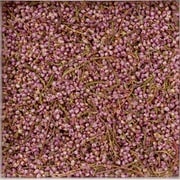 171 [ヒース 500g 業務用サイズ 原料]