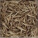 294 [ハクモウ銀針 250g 業務用中国茶]