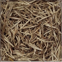 294 [ハクモウ銀針 250g 業務用中国茶]