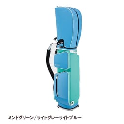 ヨドバシ.com - マジェスティ MAJESTY CB 2428 [LIGHT CB MGREEN