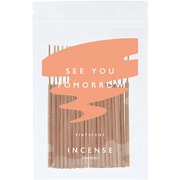 TSI-1-4 [TINTSCENT インセンス SEE YOU TOMORROW 20本入り]