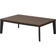 フラットヒーター搭載こたつ SELEN セレン 120 WOTAN OAK