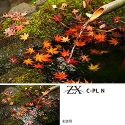 C賞　むげん ヨドバシ.com - ケンコー Kenko ZX（ゼクロス） C-PL N 49S [PL