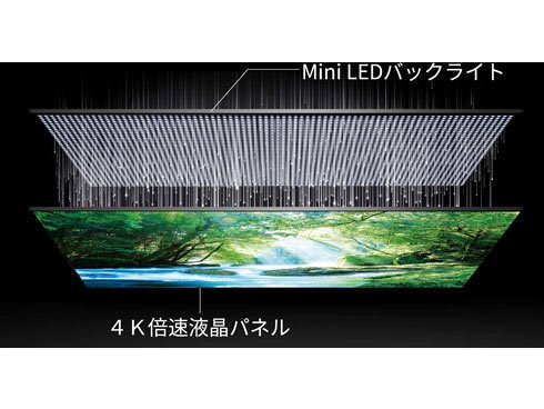 ⭐︎専用販売⭐︎液晶テレビ REGZA 4K液晶テレビ REGZA 65V型/高輝度ファインminiLED/タイム