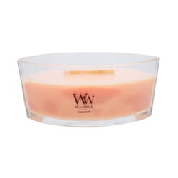 アロマキャンドル WoodWick ハースウィック（箱付き） ユズブルームの香り WW94405112