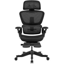 デスクチェア HINOMI H1 pro Mサイズ BK