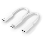 PG-TYCCHG02WH [USB-C充電ポート付 USB-C to USB-C イヤホン変換アダプタ DAC内蔵 PD60W対応 ホワイト]