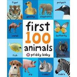 FIRST 100 ANIMALS（BB） [洋書]