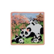 F800 [Feiler Mama bear Wash cloth 25×25 Ap]