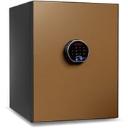60分耐火金庫 プレミアム金庫 BEYOND(ビヨンド)シリーズ 36L/60kg タッチパネル+指紋認証 シャンパンゴールド BY500CG