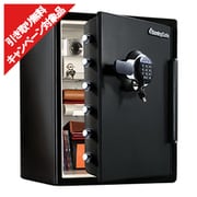 耐火・耐水金庫 ビッグボルトシリーズ JFWモデル 1時間耐火 テンキータイプ 56.6L/56.0kg 開梱設置費込み【引き取り無料キャンペーン対象品 期間限定:2026年2月1日(日)まで】 JFW205GGL