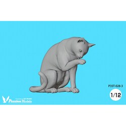 ネコ好きさんポイント無し　2000p使用 ヨドバシ.com - パッションモデルズ Passion Models P35T-028-3