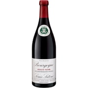 ヴァルモワシン・ピノ・ノワール 750ml [赤ワイン]