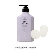 46508 [LUVSCENT ボディウォッシュ オータムビーチ シーソルト 500ml]