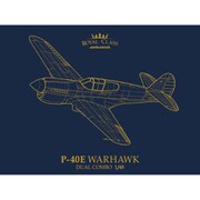 EDUR0023 1/48 P-40E ウォーホークデュアルコンボ ロイヤルクラス [組立式プラスチックモデル]