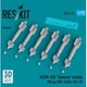 RSK72-0422 1/72 AASM-250 “ハンマー” 精密誘導爆弾 6個入 [プラモデル用パーツ]