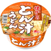 ニュータッチ 懐かしのとん汁うどん 95g