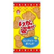 いかの姿あげ 4枚