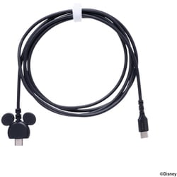 USB 2.0 CABLE TYPE-C to TYPE-C 1.5m ディズニーキャラクター ミッキーアイコン ブラック 669-982983