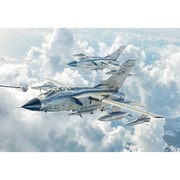 IT2517 1/32 トーネード ECR 電子偵察戦闘機型 [組立式プラスチックモデル]