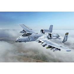 IT2725 1/48 アメリカ空軍 A-10C “ブラックスネークス” [組立式プラスチックモデル]