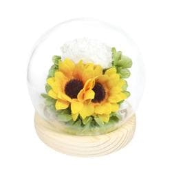 C38308 お供え ガラスドーム 四季と暦 葉月 glassdomeshiki2