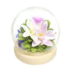 C38312 お供え ガラスドーム 四季と暦 師走 glassdomeshiki2