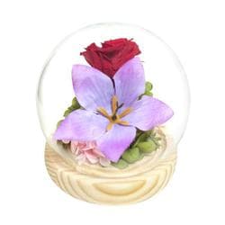 C38309 お供え ガラスドーム 四季と暦 長月 glassdomeshiki2