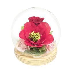 C38204 お供え ガラスドーム 四季と暦 冬ツバキ glassdomeshiki2