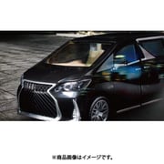 ラグジュアリー ミニバン RC ブラック