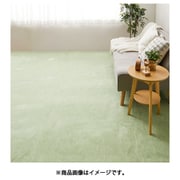 ペットにやさしい平織カーペット ラウム 江戸間2畳 176×176 グリーン